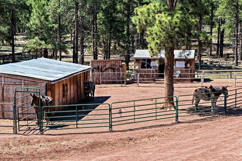 Mountain Ranch Resort At Beacon Hill Williams Dış mekan fotoğraf